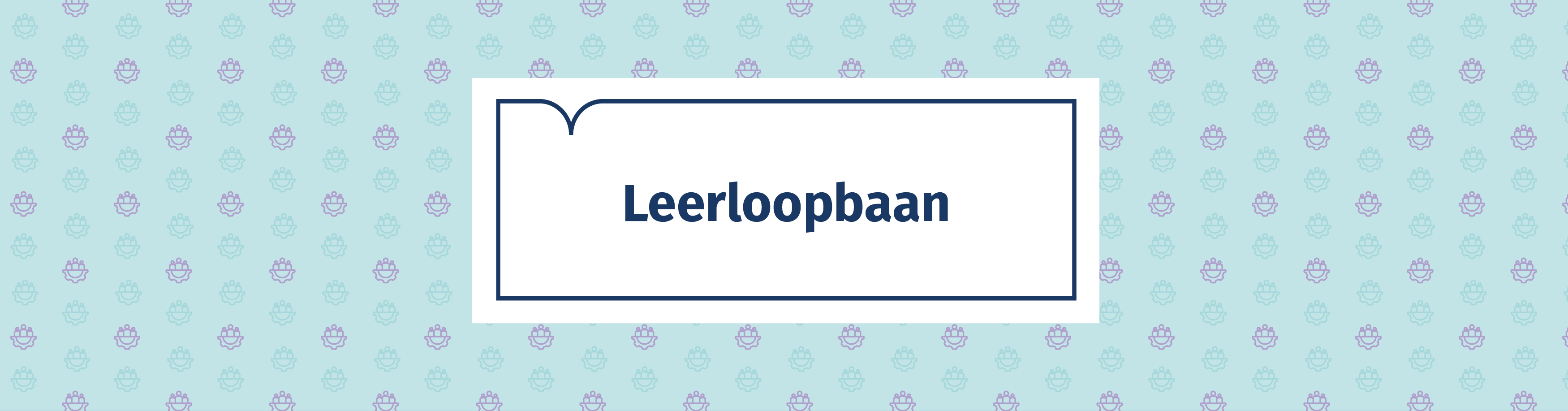 HEADER LEERLOOPBAAN