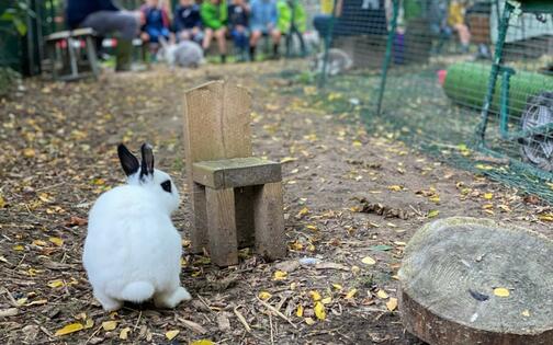 Een klasgroep brengt een bezoek met aandacht voor dierenwelzijn aan de konijnenweide van Schoolhoeve De Campagne