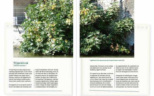 Bomenboek p74 75