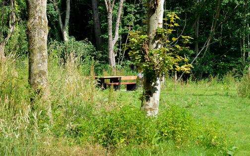 Picknicken in het Leeuwenhof