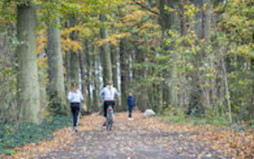 Wandelen en joggen in wandelbos Slotendries