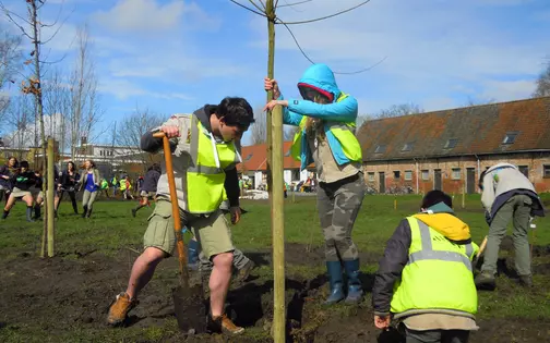 scouts planten een boom op hun terrein