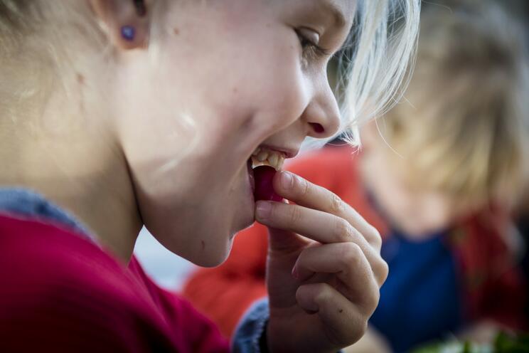 Duurzame schoolmaaltijden in Gent