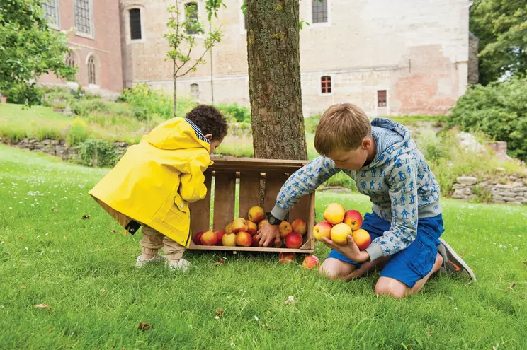 Kinderen met appelkist