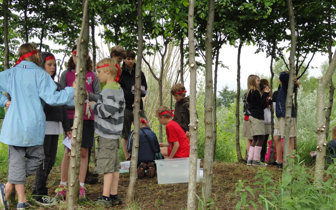 Speelbos Drongen