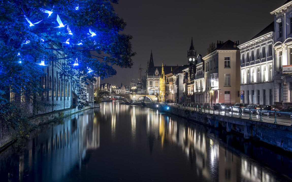 Verlichting Predikeherenlei - lichtkunstwerk Blauwe vogels