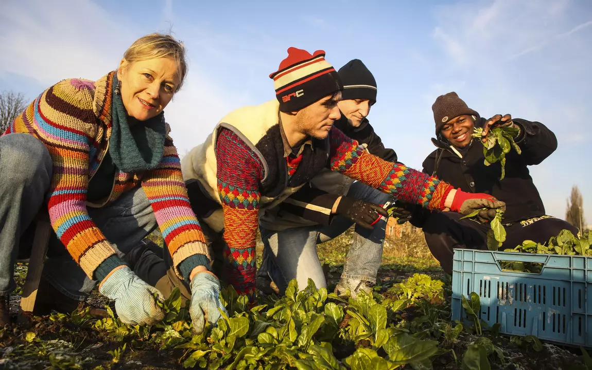 gent en garde moestuinbegeleiding