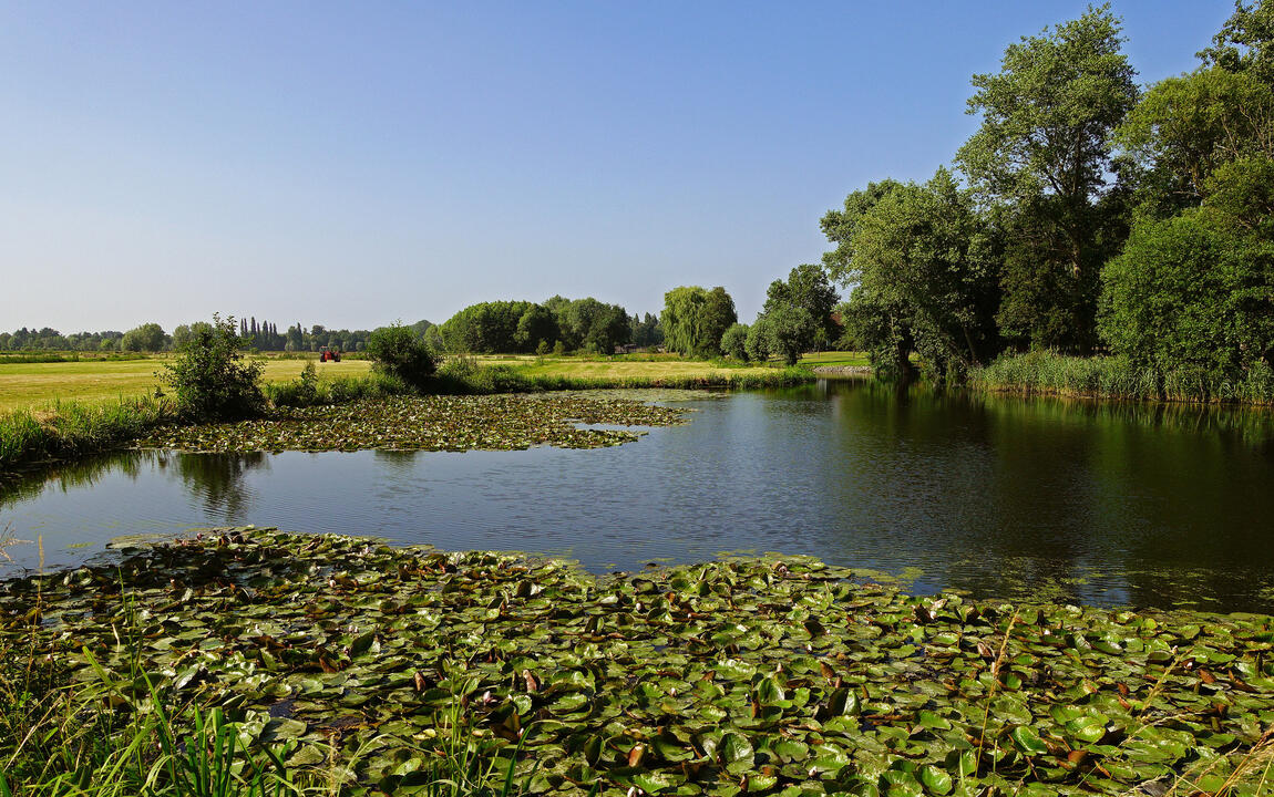 Waterplas naast veld en bos