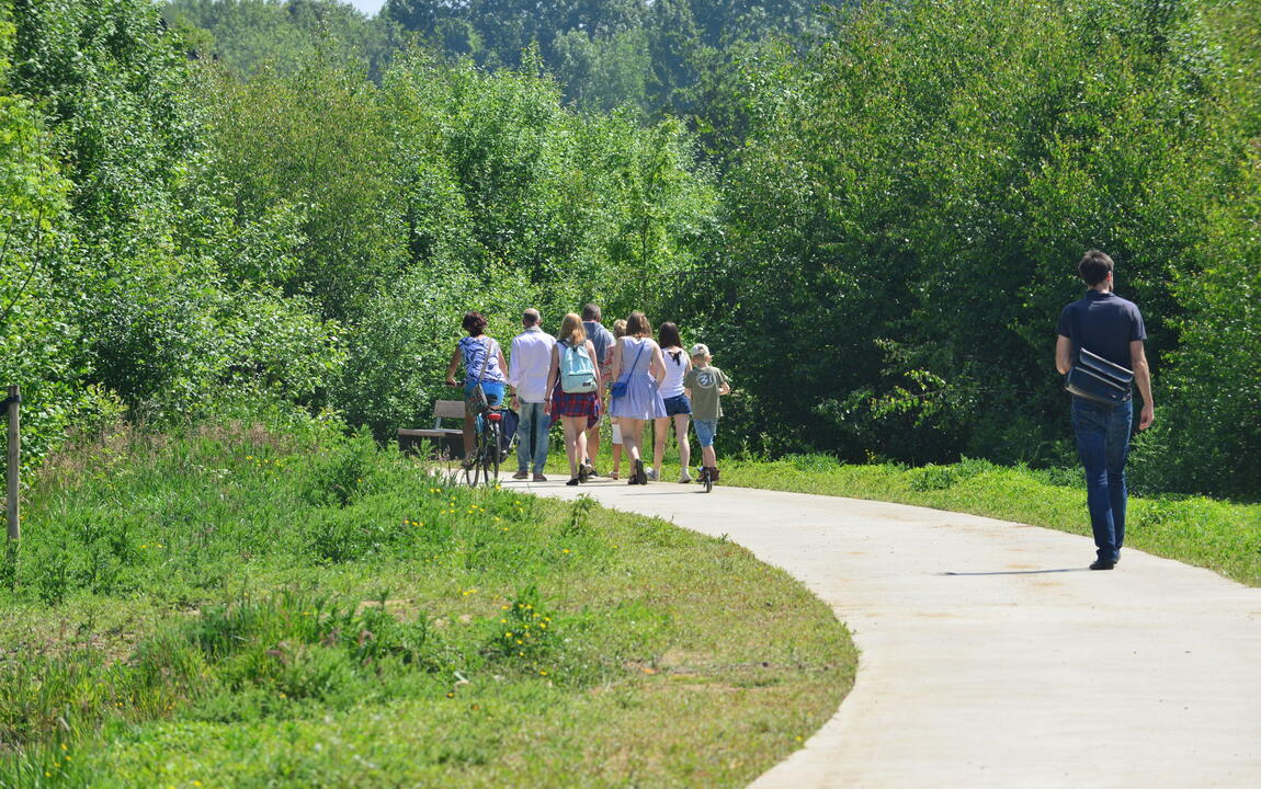 wandelen langs trage wegen in Gentbrugse Meersen