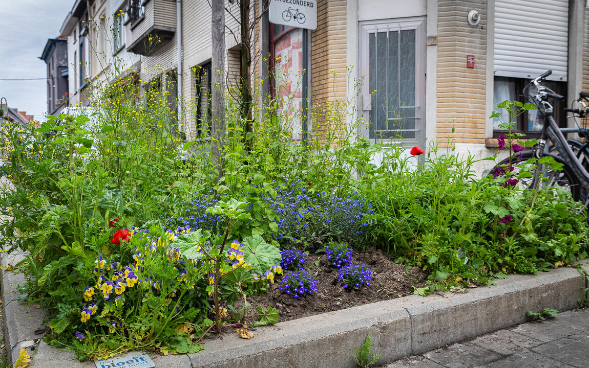 Straattuin met bordje Hier bloeit de buurt