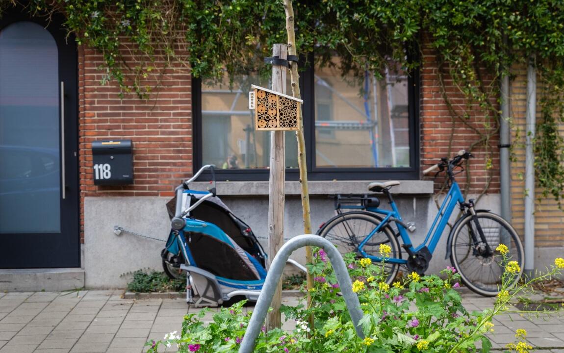 Straattuin met bijenhotel