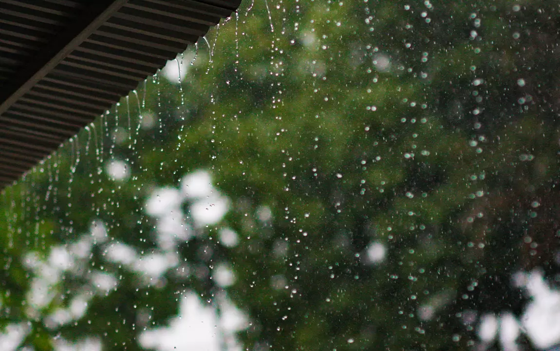 Regendruppels van het dak