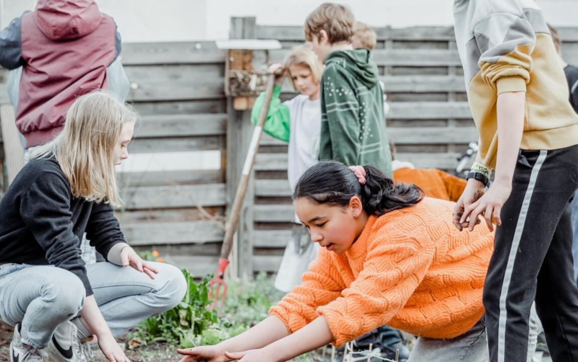 Leerlingen in de schoolmoestuin