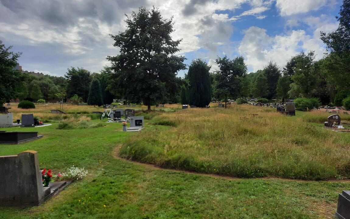 perk met lang gras op de Westerbegraafplaats als voorbeeld van natuurvriendelijk beheer