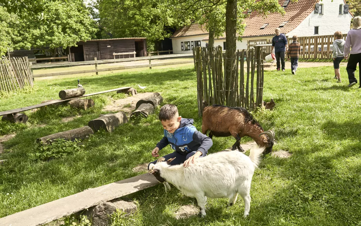 Schoolhoeve de Campagne begeleid dierenbezoek