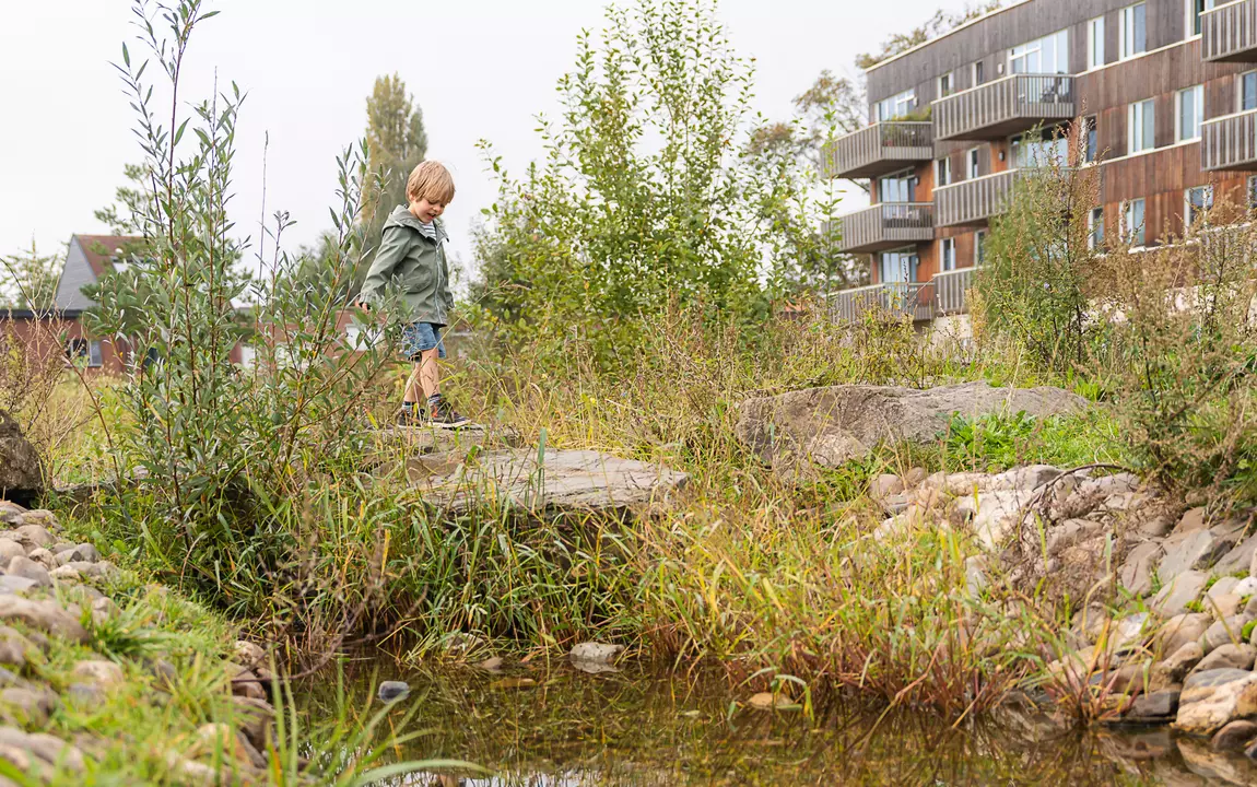 Wadi met planten naast appartmentsblok