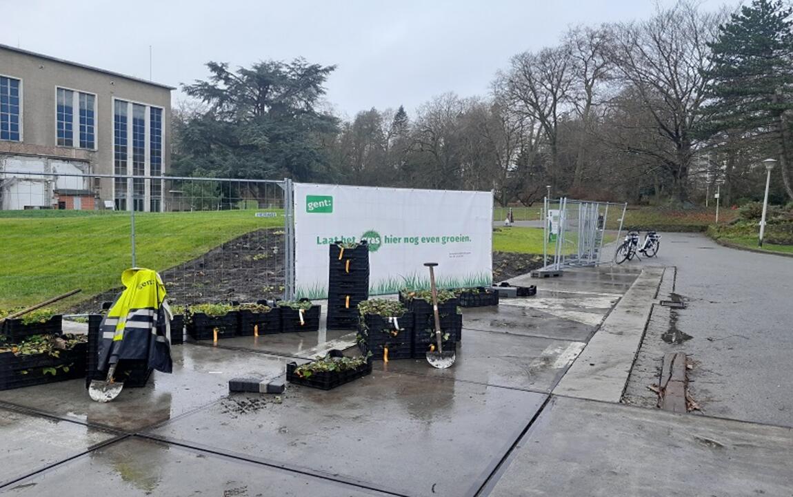 Planten staan klaar om voormalige vloerplaat hal 6 in Citadelpark te vvergroenen