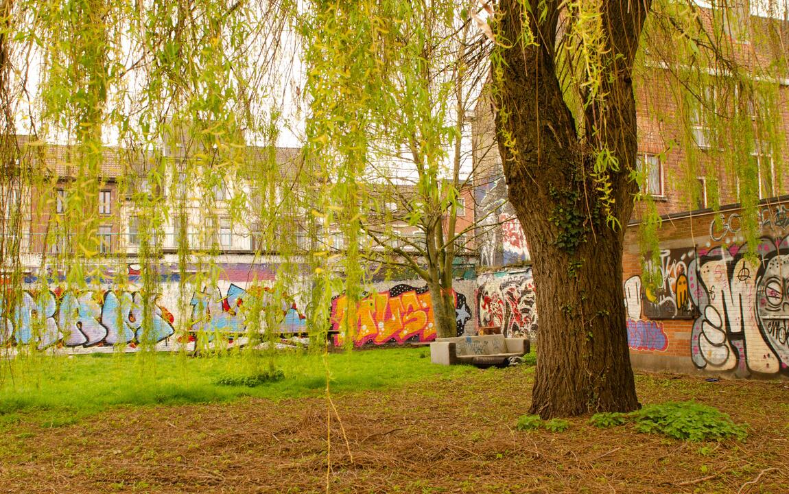 Wolterspark graffitimuur