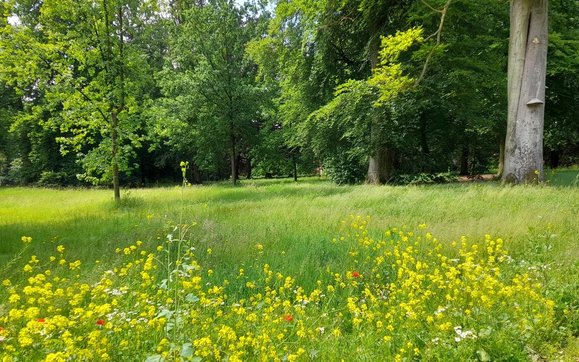 Maaltebruggepark bloemrijk