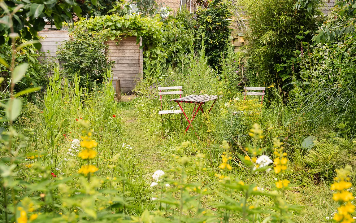 stadstuin met bloemen