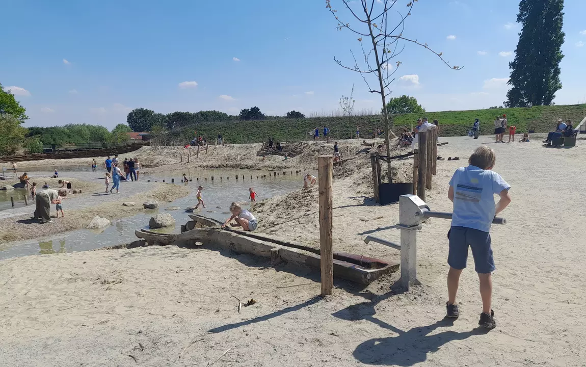 Moerasspeelzone Wonderwoud