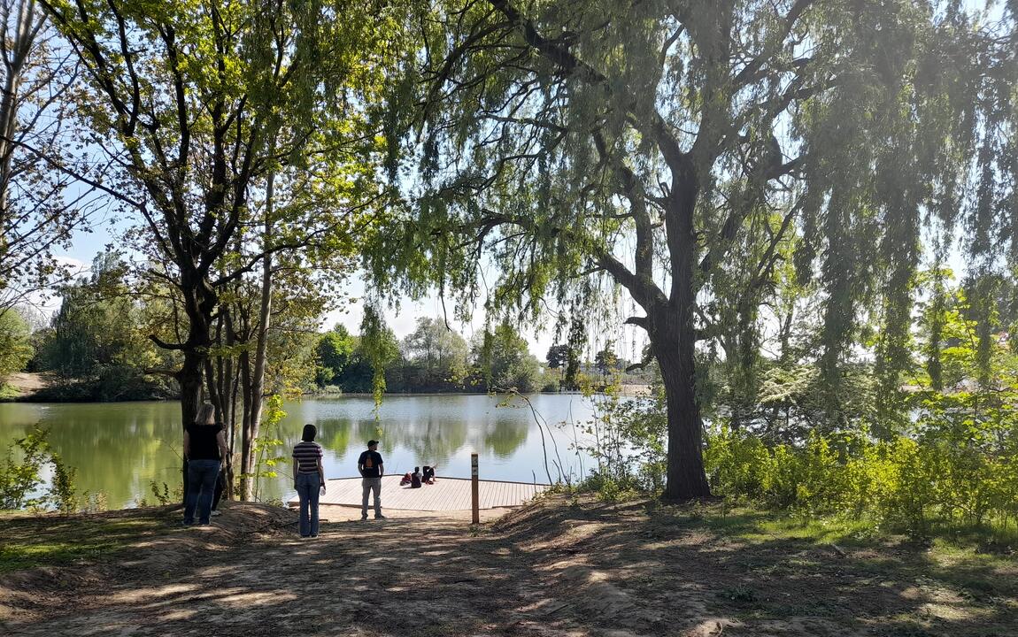 Zitvlonder Wonderwoud