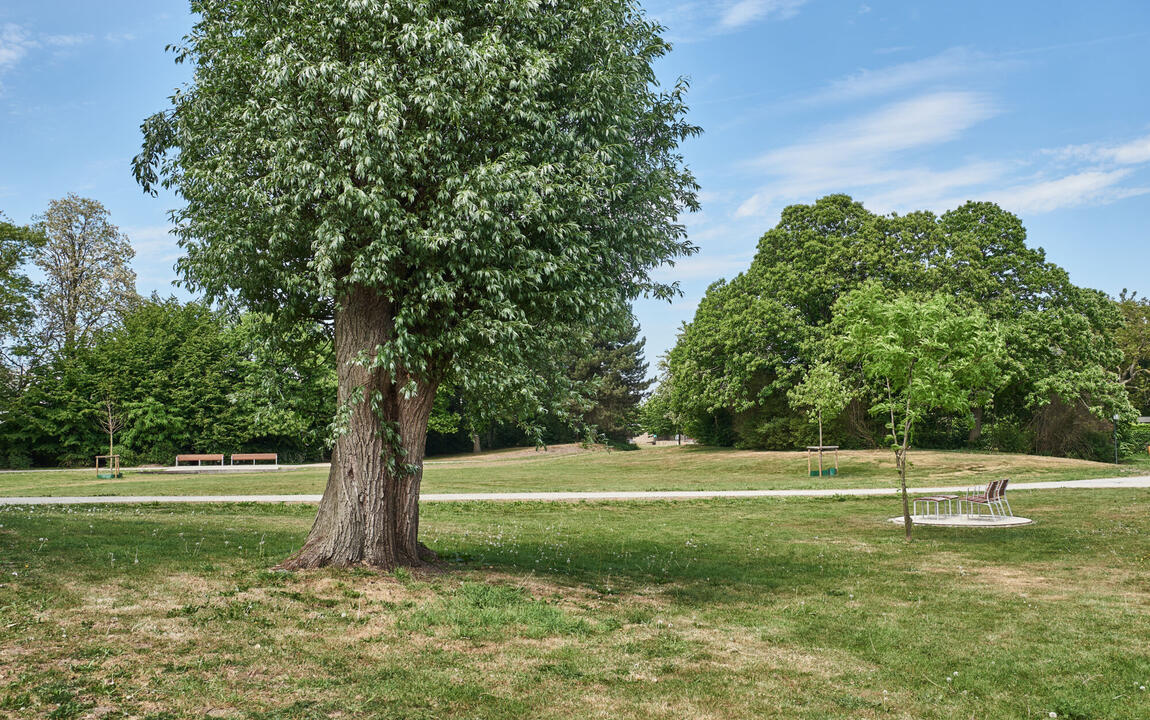 Zonnebloempark