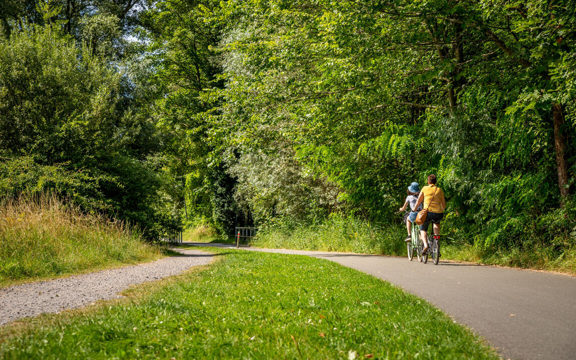 Fietsen_in_Gent