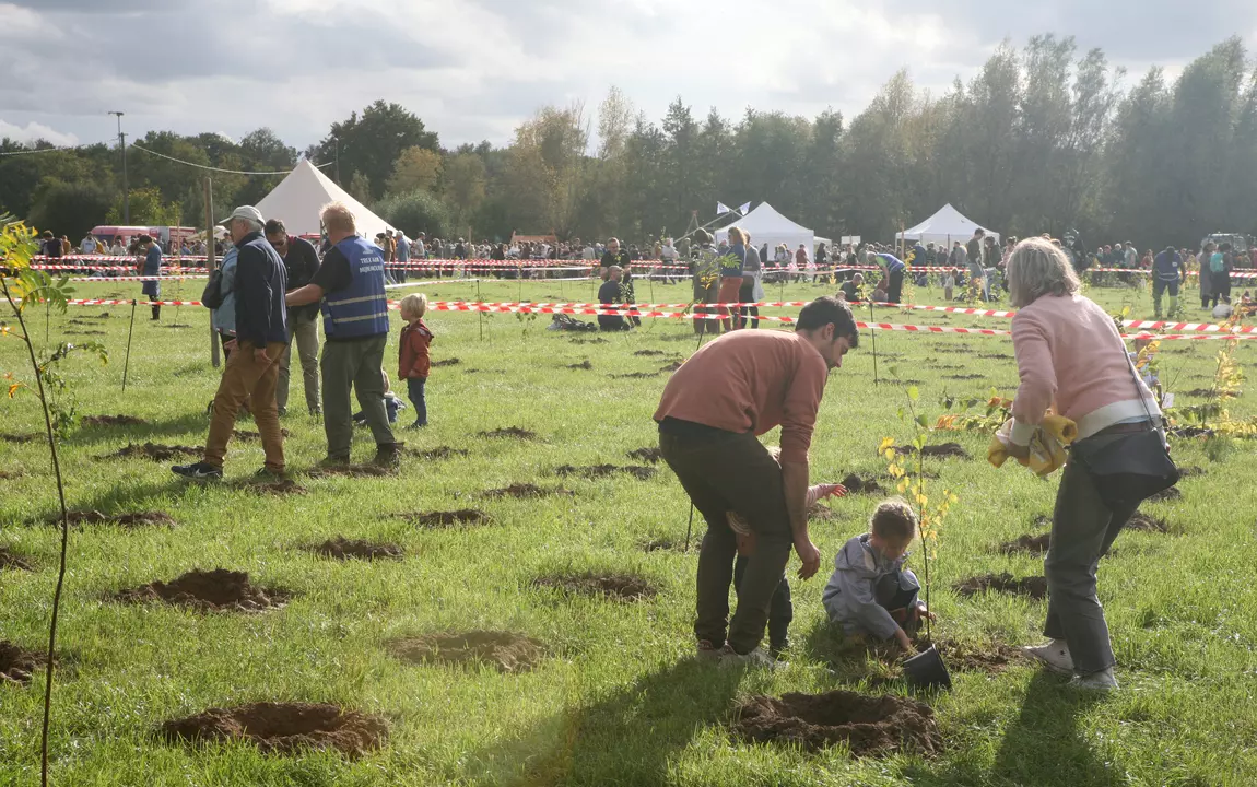 Ouders planten bomen in het geboortebos in de Vinderhoutse Bossen