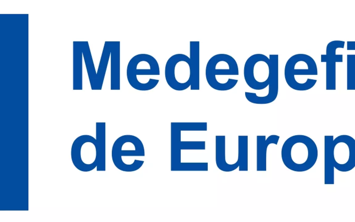 Combilogo_leeuw_bleke achtergrond_Medegefinancierd EU_page-0001