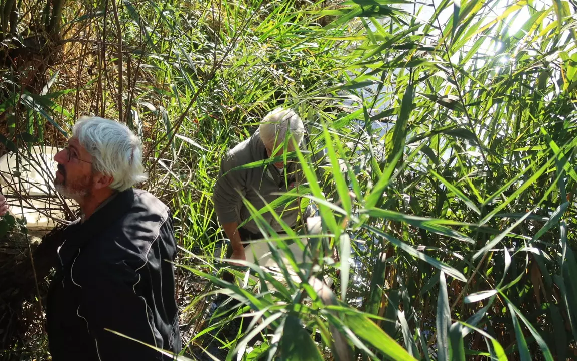 Een foto van de grote modderkruipers net voor ze uitgezet werden