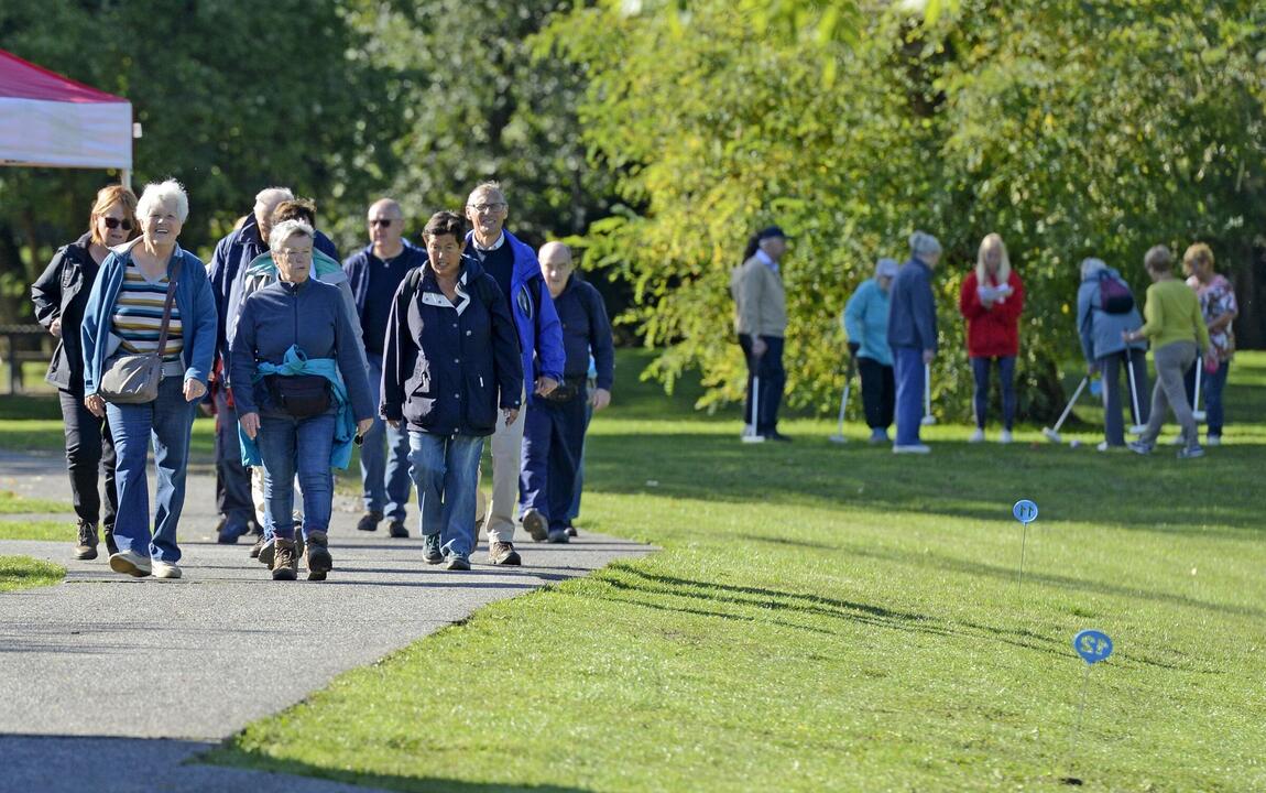 Sportdag  55+ wandelen