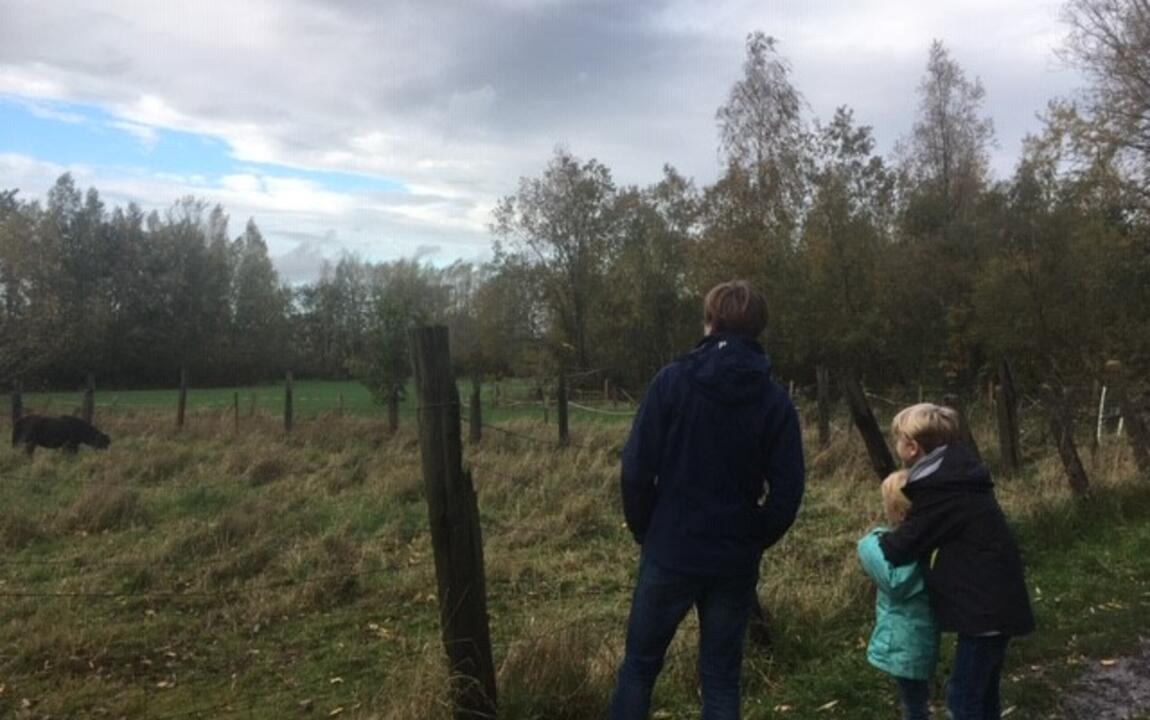 wandelen Bos t'Ename