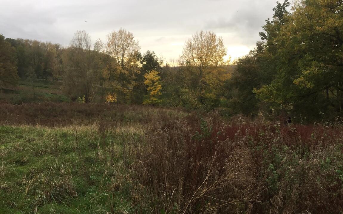 wandelen Bos t'Ename