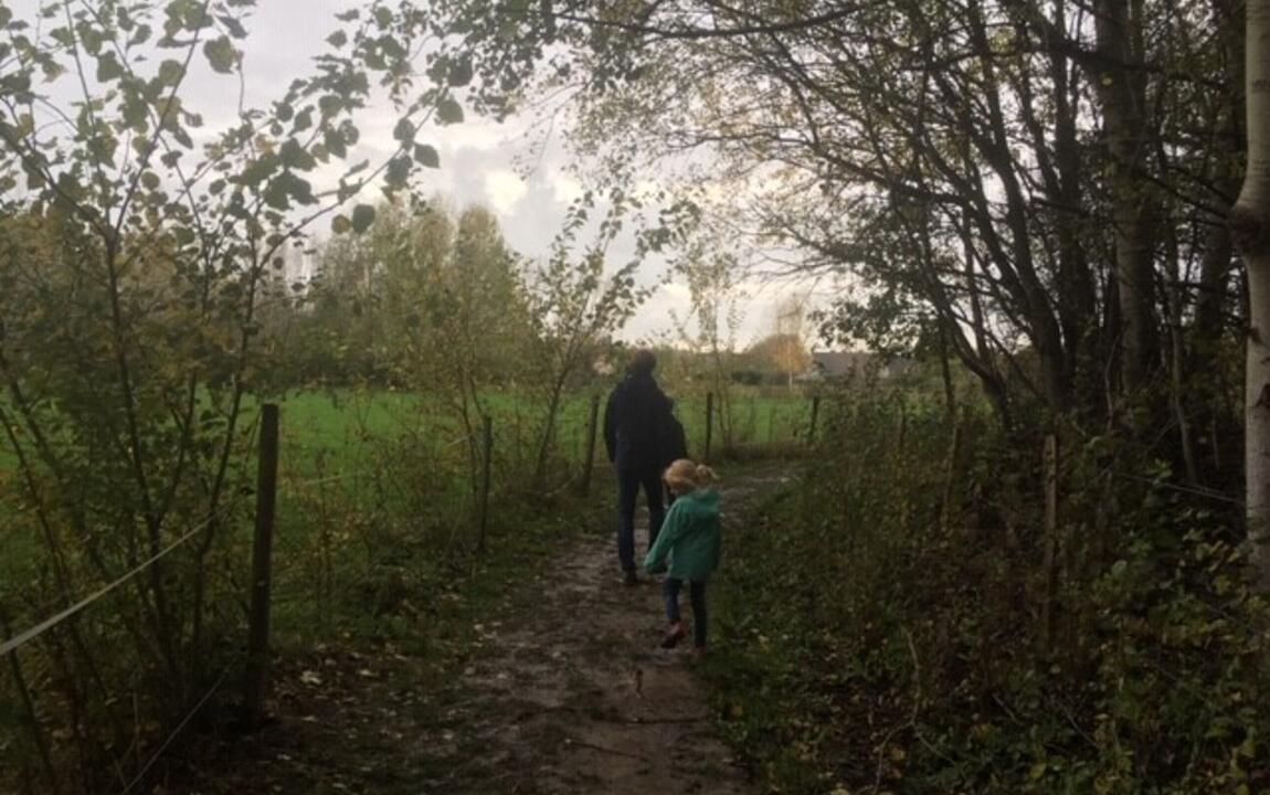 wandelen Bos t'Ename