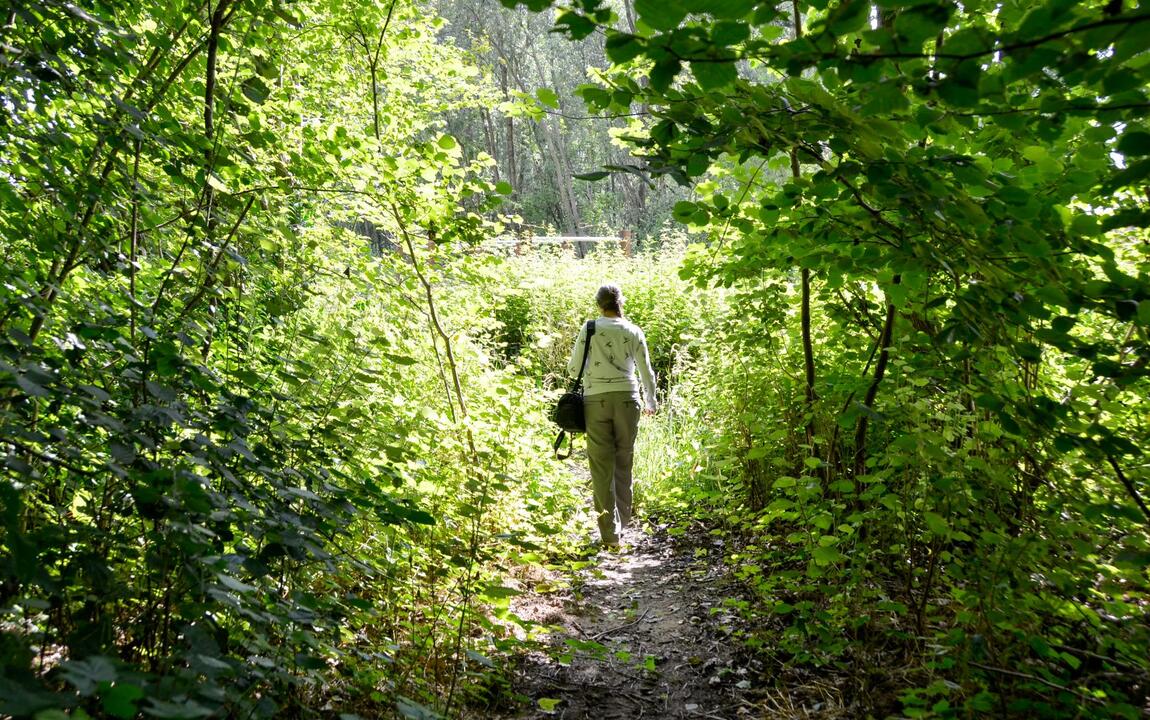 Wandelen in het domein Leeuwenhof