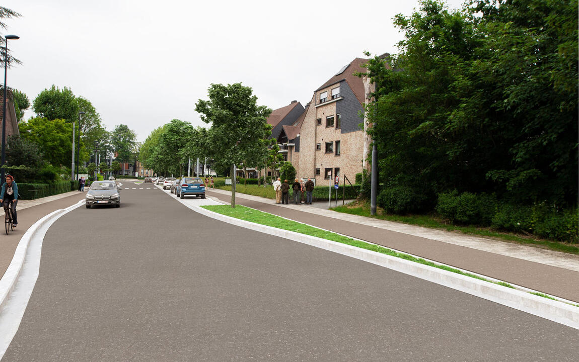 Toekomstbeeld Braemkasteelstraat, tussen H. Persoonsstraat en F. Tochpark