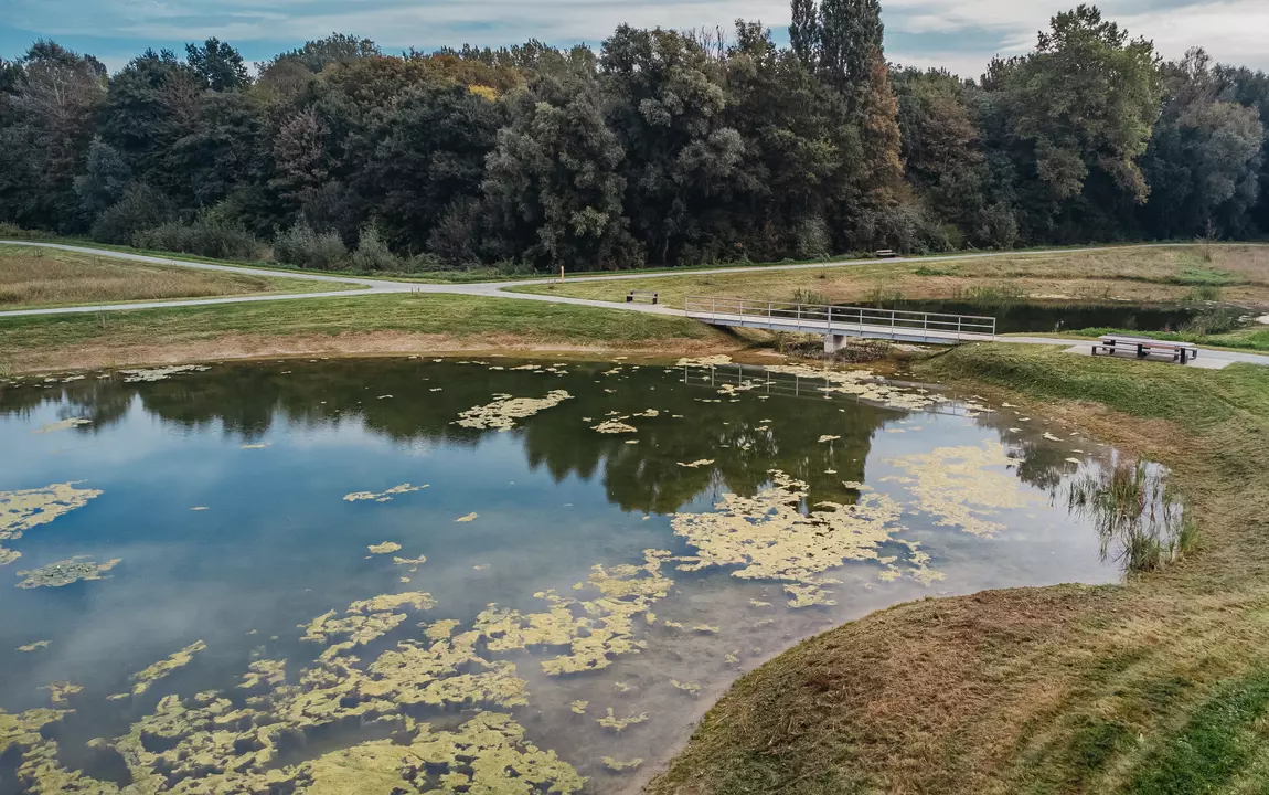 Poel Vinderhoutse Bossen