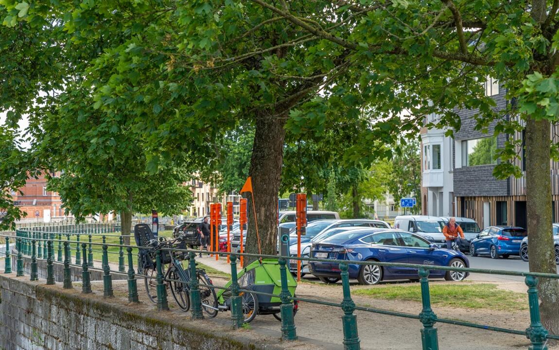 straatbomen aan kaai