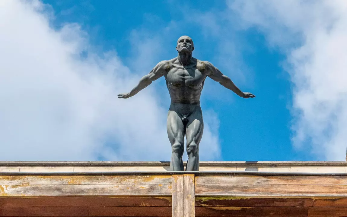 De Duiker op het dak van een penthouse in de Lindenlei