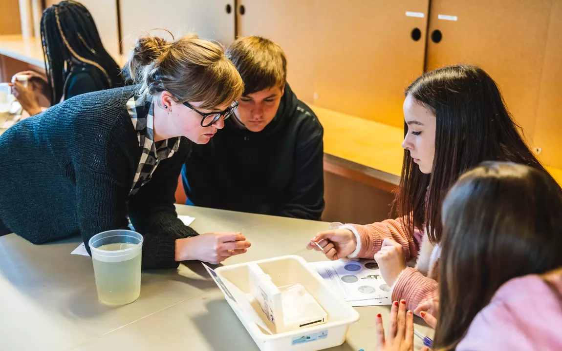 Workshop De Ruigte leerlingen secundair