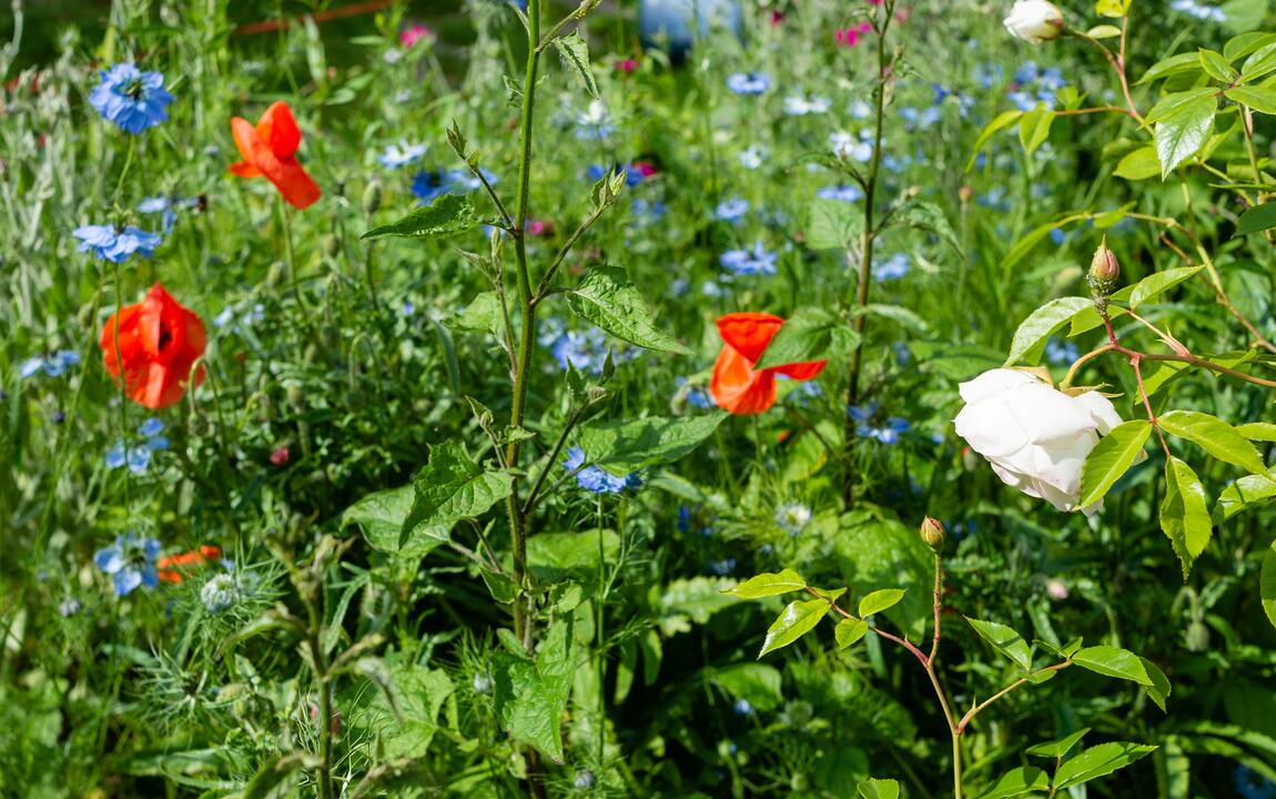 straattuin inspiratie