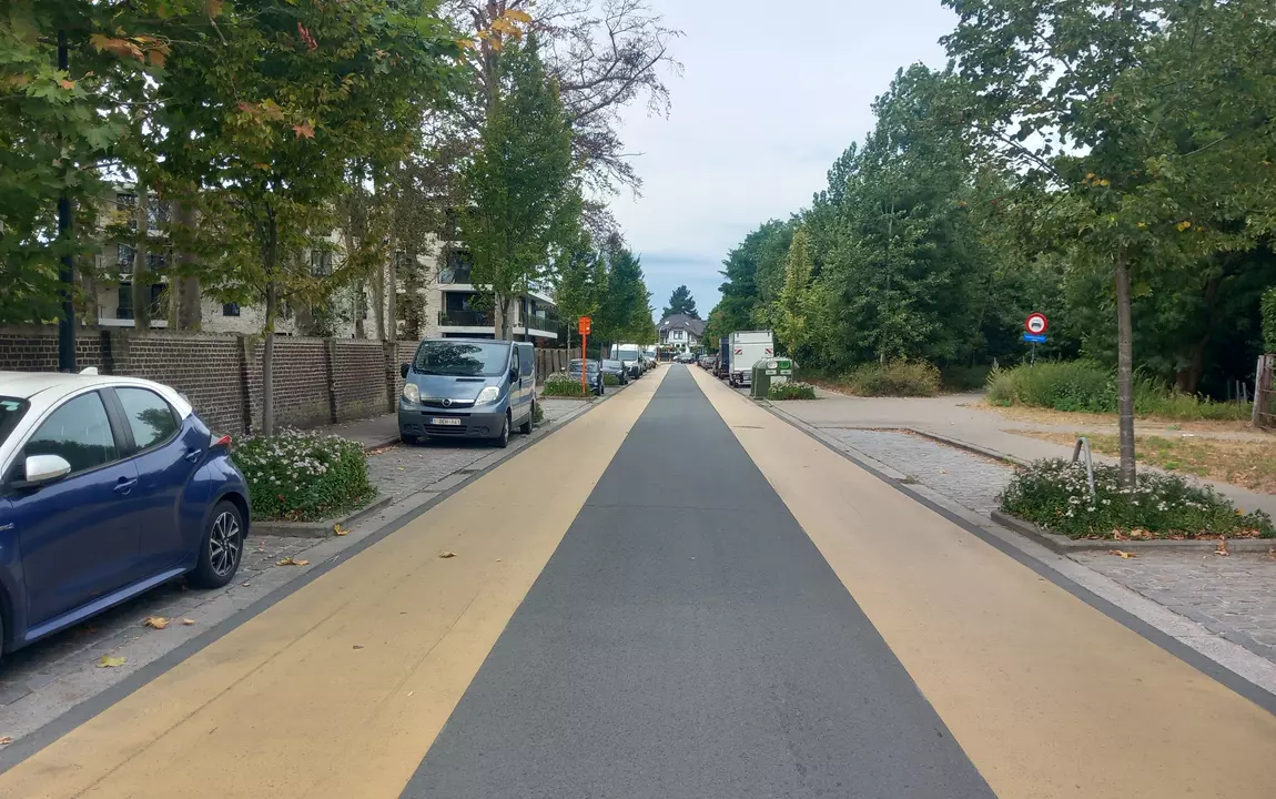 Project Goedlevenstraat_referentiebeeld Groenstraat2