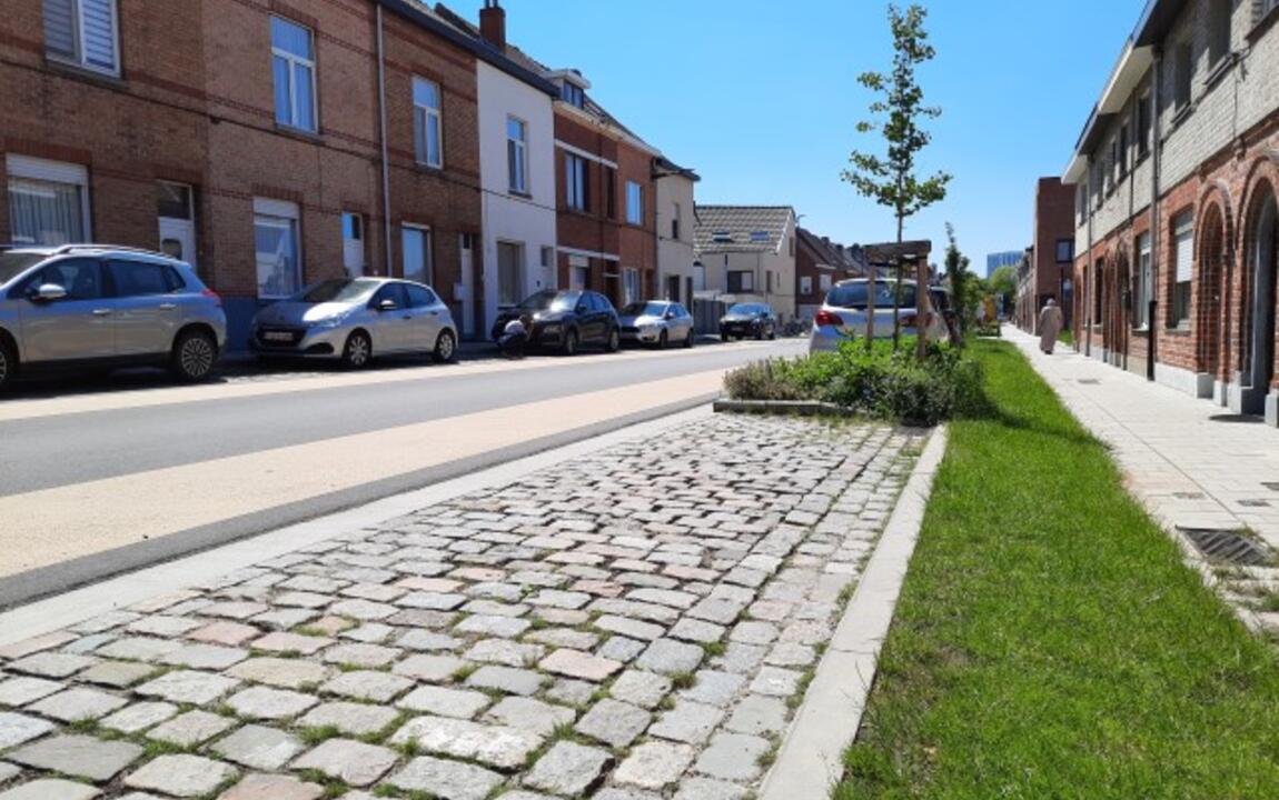 Project Steenakker- Haardstedestraat parkeer- en groenvak