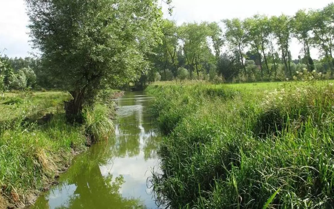 RUP Groen keuzemeersen