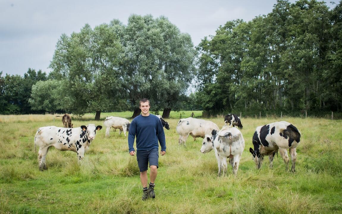 Landbouw Gil Zwijnaarde Provincie Oost-Vlaanderen