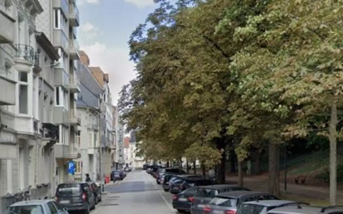 De Koning Leopold II-laan. © Google Maps