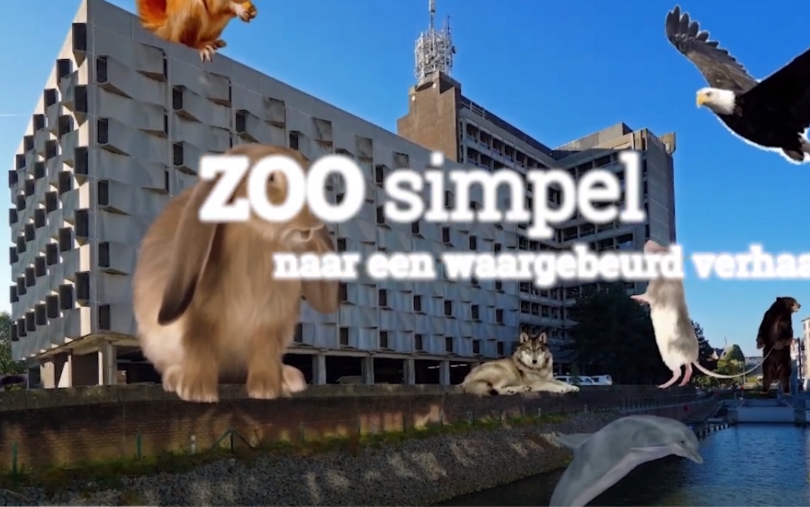 Mediacoach Zoo simpel