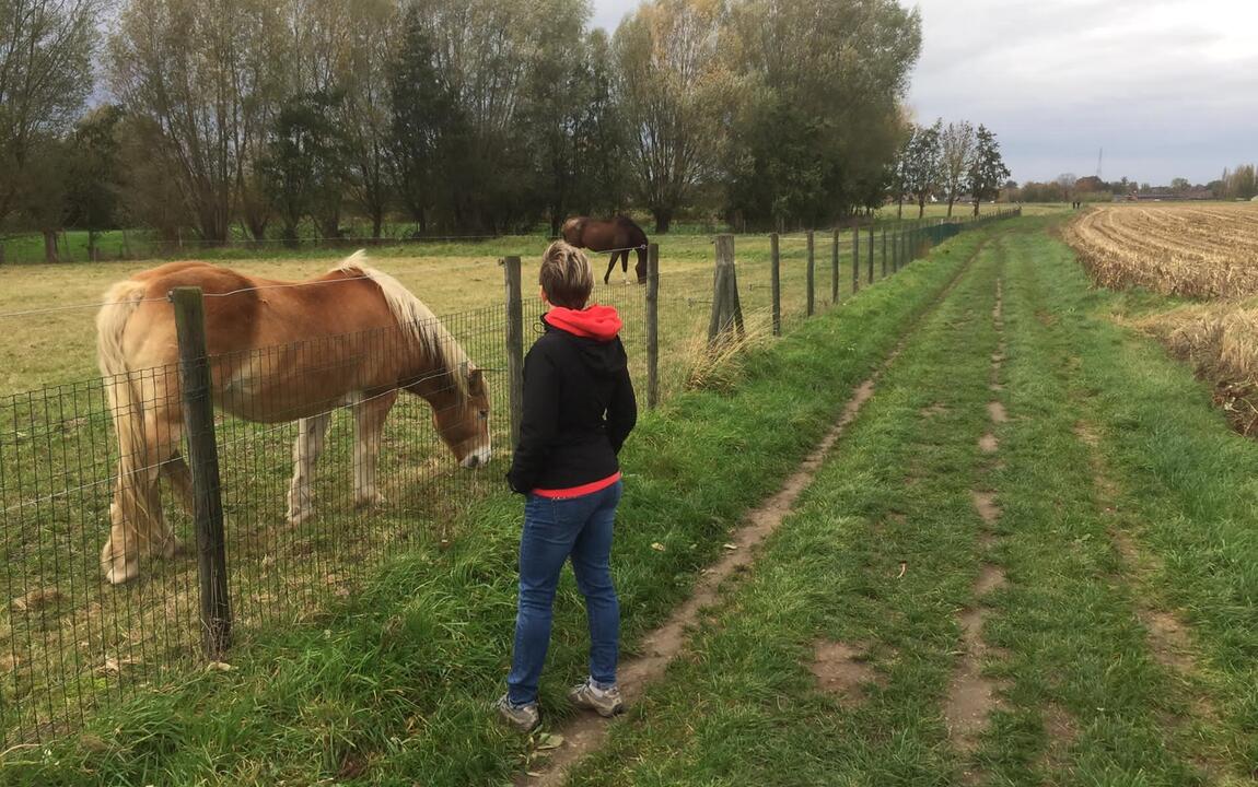 wandelen Vinderhoutse bossen 