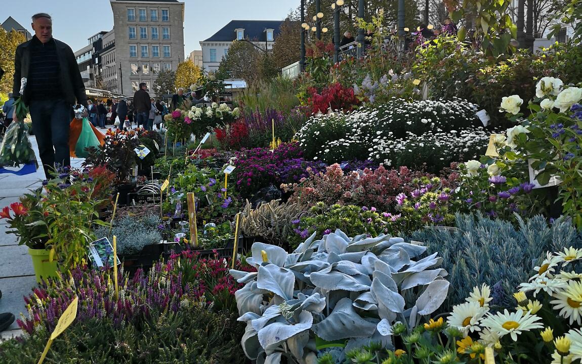 Kouter bloemenmarkt